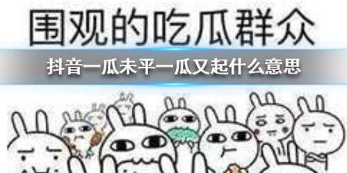 抖音最新吃瓜教室,揭秘热门事件背后的真相与笑料