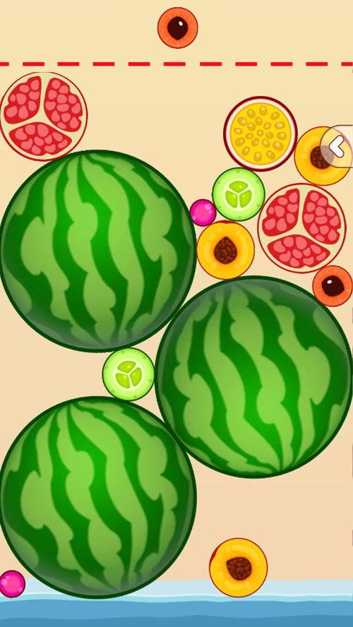 抖音最新吃瓜教室,揭秘热门事件背后的真相与笑料