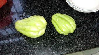 吃瓜秃仔视频,揭秘网络红人的爆笑日常