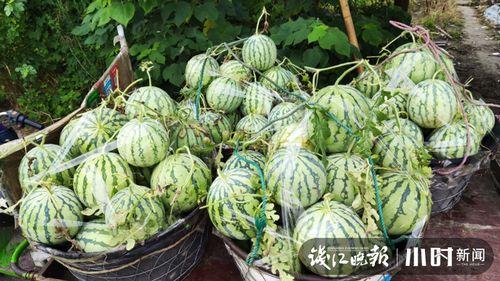 鲁山卖鞋吃瓜,吃瓜群众变身鞋业达人