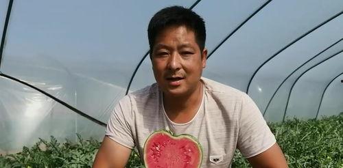 苏喜吃瓜日常,揭秘娱乐圈幕后故事