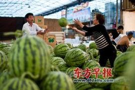 吃遍满城所有瓜,一场别开生面的美食之旅