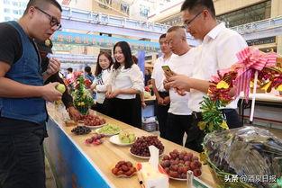 吃遍满城所有瓜,一场别开生面的美食之旅