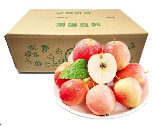 冬吃橙子夏吃瓜,冬橙夏瓜，健康生活指南