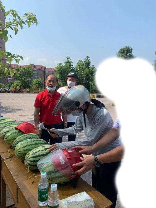 奉化吃瓜新闻事件,一场网络舆论的风暴与反思