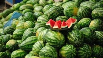 沈阳傅兰吃瓜,吃瓜群众的欢乐盛宴