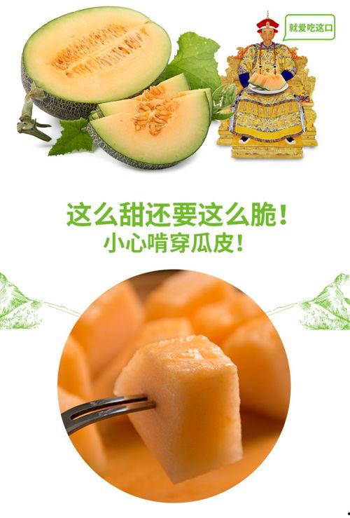 吃蜜瓜口苦,揭秘口苦成因