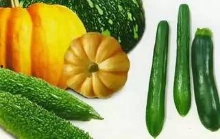 brandon吃瓜,Brandon的吃瓜日常，带你领略娱乐圈幕后风云