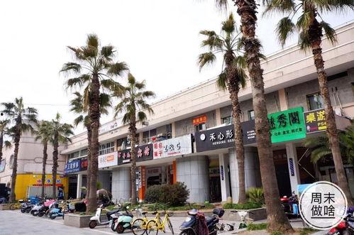 文汇路吃瓜,揭秘街头美食背后的故事