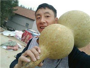 沂水话吃瓜,一场独特的乡村文化盛宴