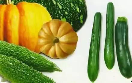 朝堂吃瓜短剧,宫廷吃瓜短剧揭秘