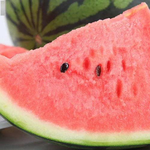 泗水吃瓜新闻,一场引发热议的网络狂欢