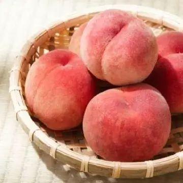 桃子精解说吃瓜,一场视觉与味蕾的双重盛宴