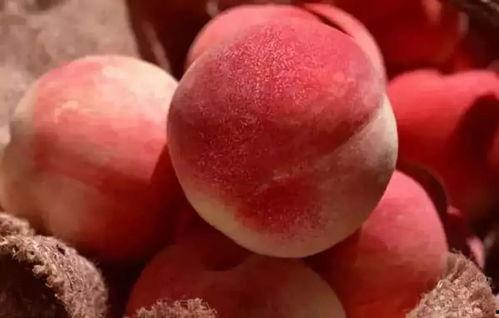 桃子精解说吃瓜,一场视觉与味蕾的双重盛宴