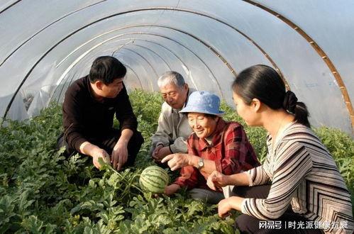新疆最新吃瓜新闻,揭秘神秘事件背后的真相
