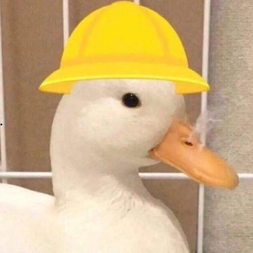 吃瓜小鹅头像,吃瓜小鹅的趣味日常
