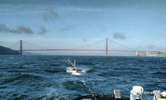 洋流吃瓜事件,揭秘海洋生物的奇特现象