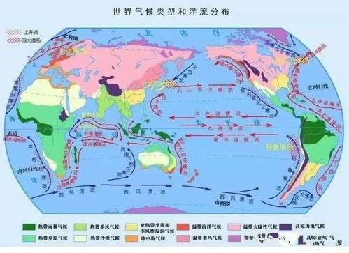 洋流吃瓜事件,揭秘海洋生物的奇特现象