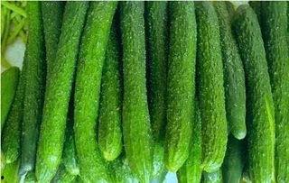 播放带你吃瓜的功效,揭秘娱乐八卦的神奇功效