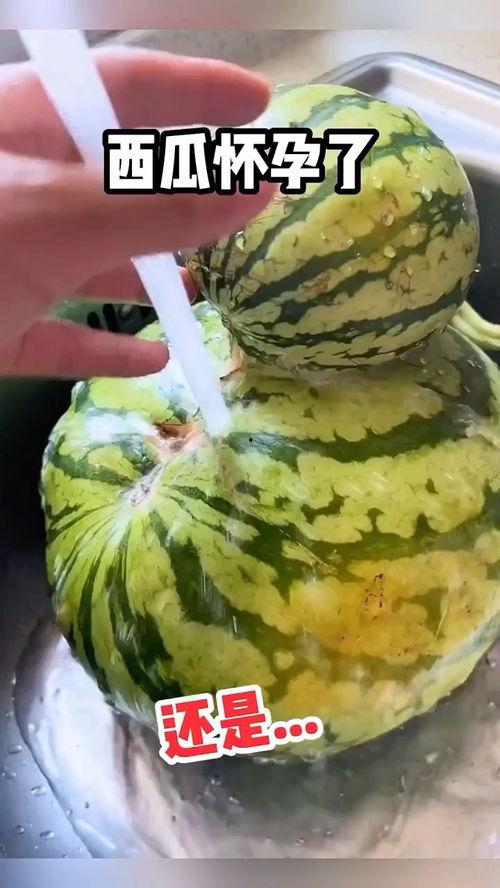 搞笑小说吃瓜视频,吃瓜视频里的搞笑小说大揭秘