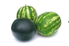 青州吃瓜事件山上的瓜,一场别开生面的“吃瓜”盛宴