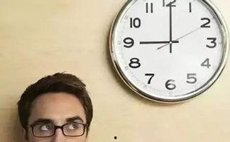 吃瓜与学习时间,平衡娱乐与知识的时光之旅