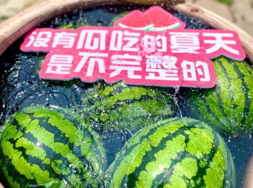 吃瓜星期六,娱乐圈幕后故事大公开