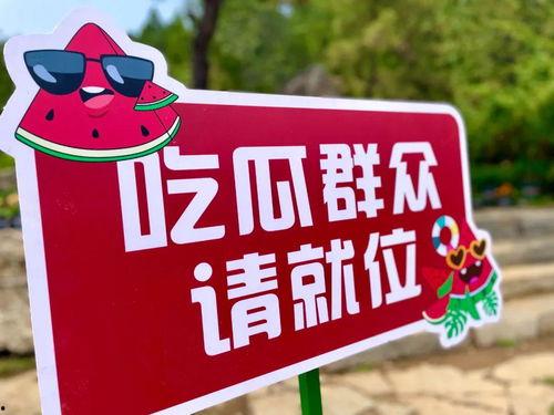 吃瓜星期六,娱乐圈幕后故事大公开