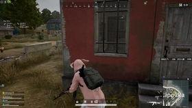 c吃瓜csgo,揭秘电竞圈的欢乐与激情