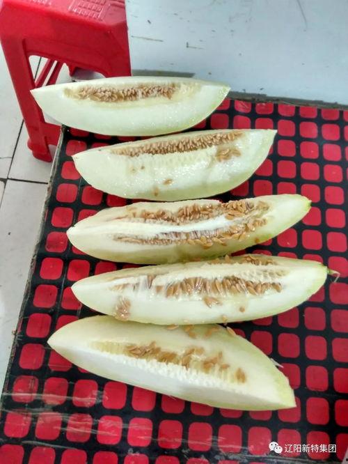 吃瓜南坪区,吃瓜群众的热闹乐园