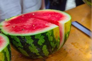 财经大学2022 吃瓜