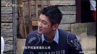 吴尊吃瓜前线,揭秘娱乐圈幕后风云