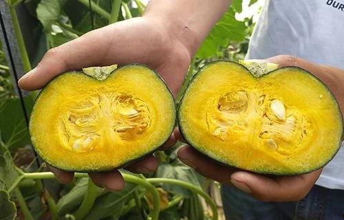 贝贝瓜板栗瓜怎么吃会瘦,轻松享瘦的秘密