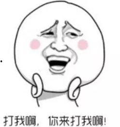 呆瓜米怎么吃,解锁美味新境界