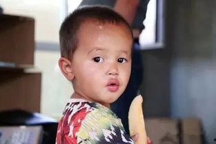 群众安静吃瓜视频,群众悠闲共享吃瓜时光