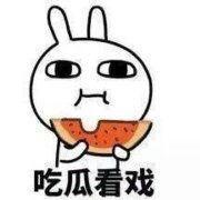 旺财吃瓜表情,萌宠界的“吃瓜群众”