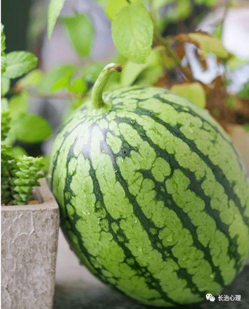 心空吃瓜,揭秘娱乐圈的甜蜜与苦涩