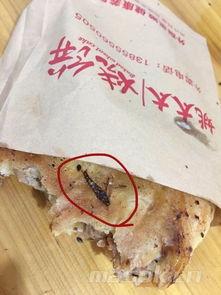 烧饼老婆吃瓜,揭秘娱乐圈背后的秘密与八卦