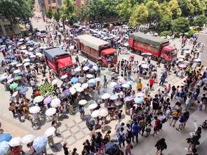 吃瓜雄县,揭秘我国农村新现象背后的故事