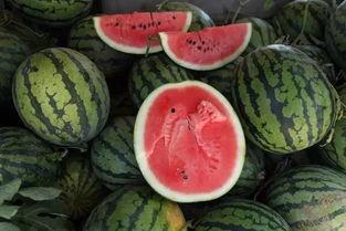 吃两斤瓜,两斤瓜果尽享清凉时光