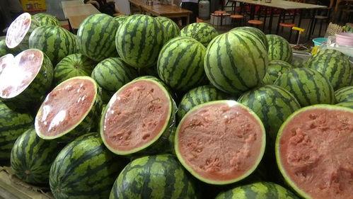 吃两斤瓜,两斤瓜果尽享清凉时光