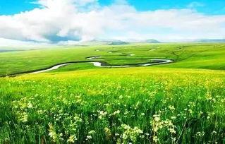 太公湖草原吃瓜,尽享清凉时光