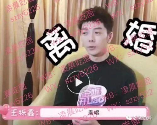 吃新瓜焕儿,夏日消暑新宠，健康美味两不误