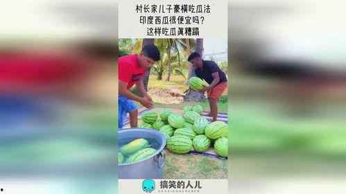 吃瓜法律,揭秘网络舆论场中的法律边界与责任