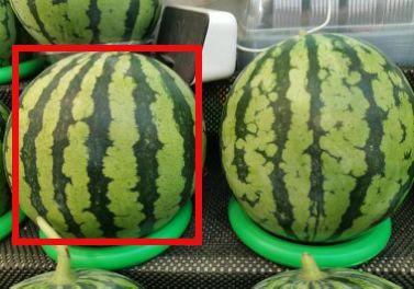 最新热门吃瓜,揭秘明星背后的惊人真相！