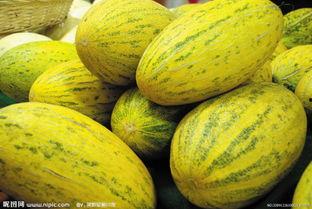 山东吃的哈密瓜怎么吃,哈密瓜的多样食法探索