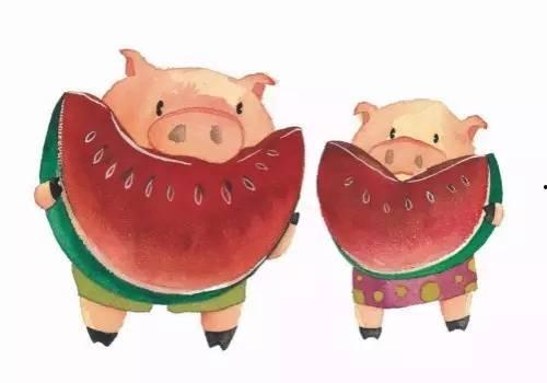 猪吃瓜配乐,一场欢乐的视听盛宴