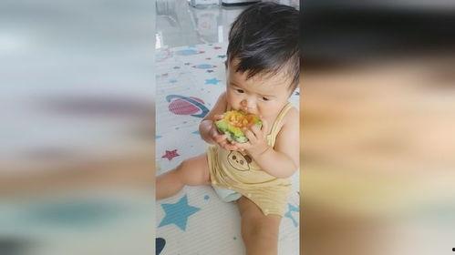 周岁宝宝吃瓜照,周岁萌娃甜蜜瓜趣时光