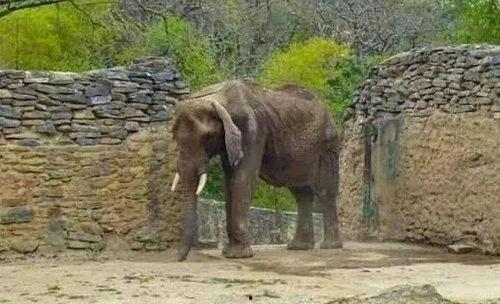 叫驴吃瓜,一场意外的乡村奇遇