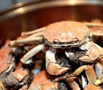 风清专门吃瓜在线吃瓜,在线瓜田里的欢乐时光